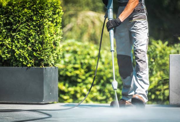 Best Sidewalk and Walkway Cleaning  in College Park, MD