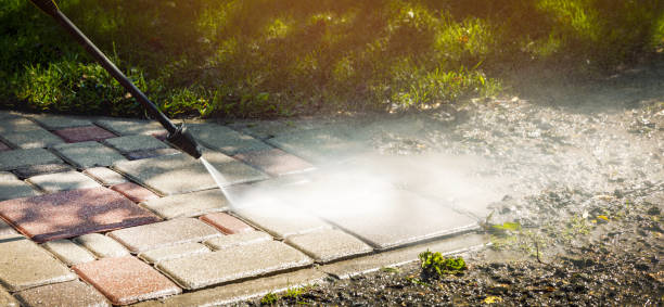 Best Animal Enclosure Cleaning  in College Park, MD